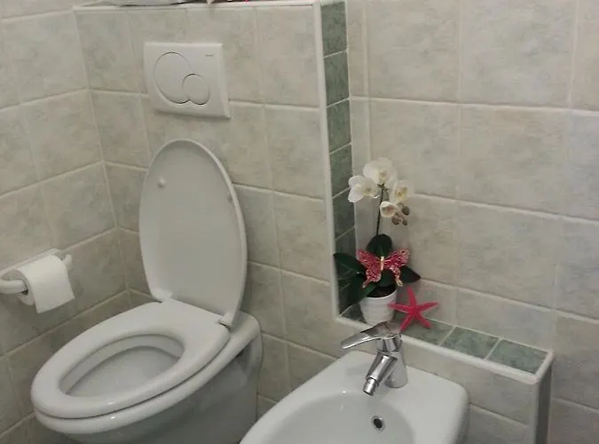 Hotell Maxim Misano Adriatico